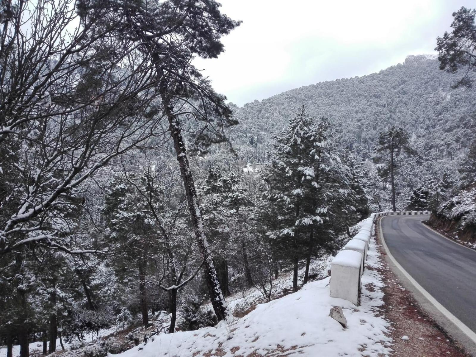 Casa Eva Daire Arroyo Frio Dış mekan fotoğraf